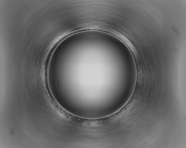 X0000112891051200908211449
