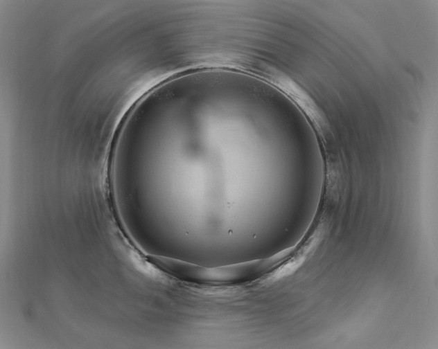 X0000112891052200908211449