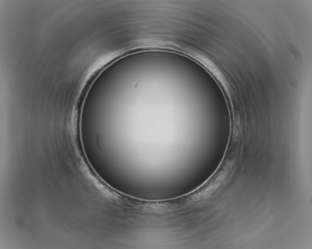 X0000112891053200908211449