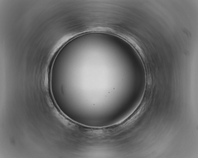 X0000112891054200908211449