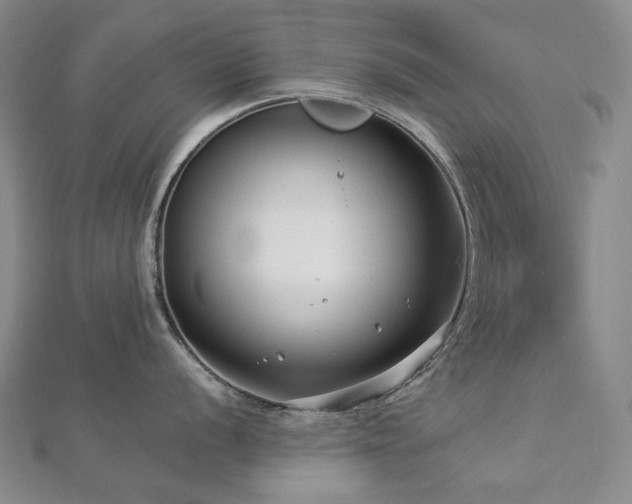 X0000112891056200908211449