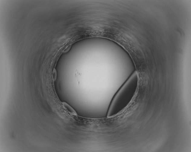 X0000112891057200908211449