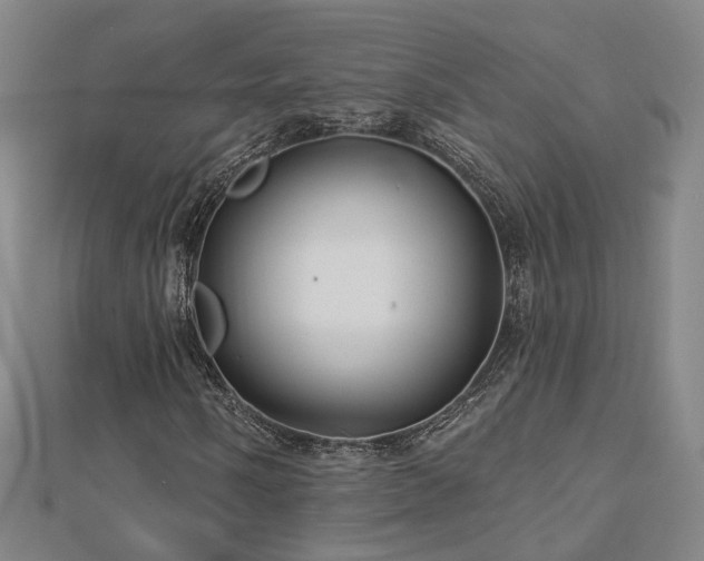 X0000112891058200908211449