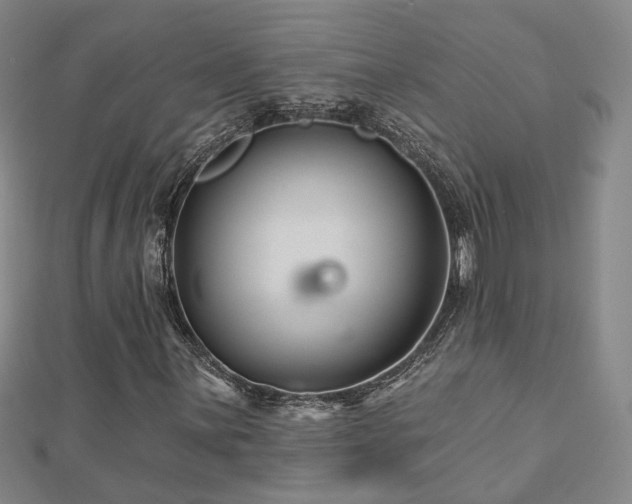 X0000112891059200908211449