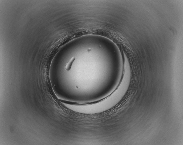 X0000112891060200908211449