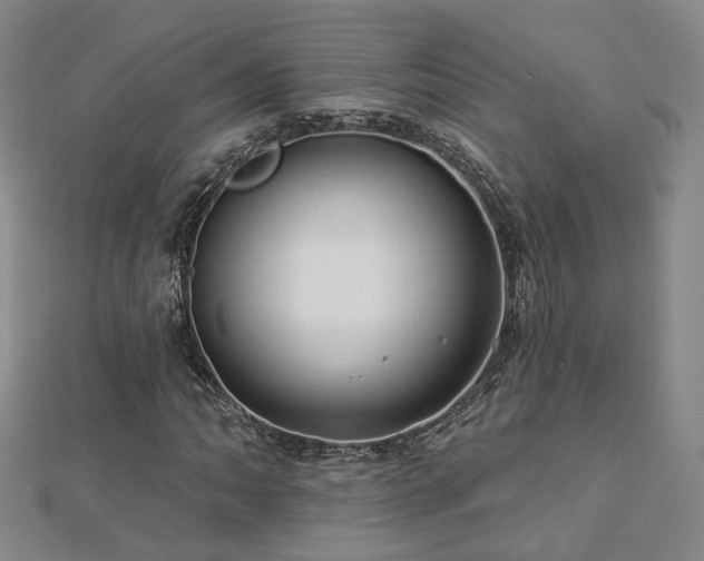 X0000112891062200908211449