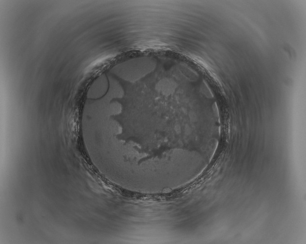 X0000112891063200908211449