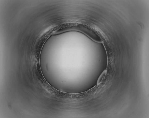 X0000112891064200908211449