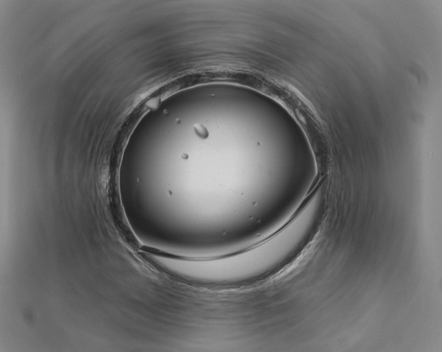 X0000112891065200908211449