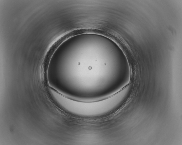 X0000112891069200908211449