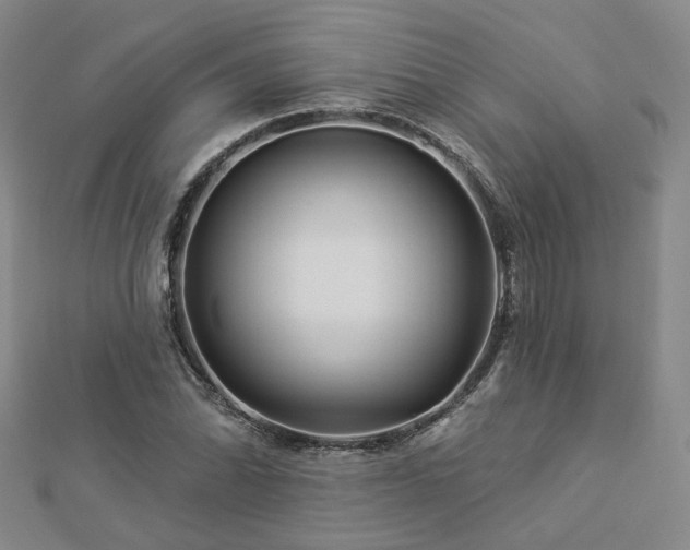 X0000112891070200908211448
