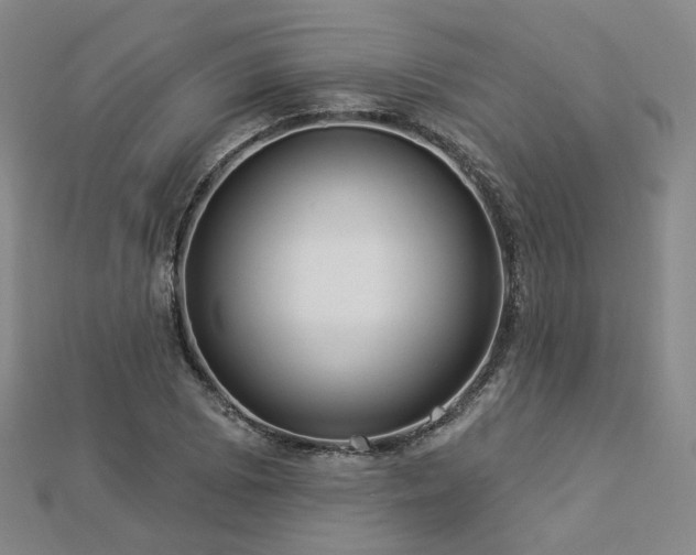 X0000112891073200908211448