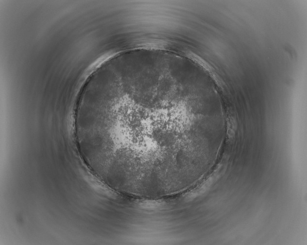 X0000112891074200908211448