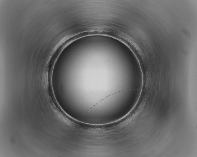 X0000112891075200908211448