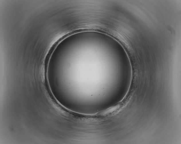 X0000112891079200908211448