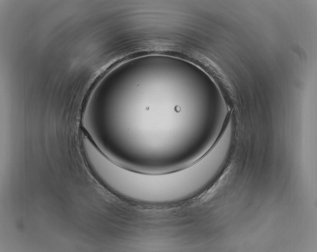X0000112891081200908211448