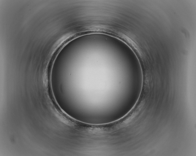 X0000112891082200908211448