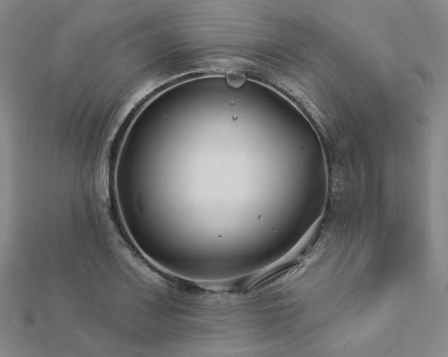 X0000112891083200908211448