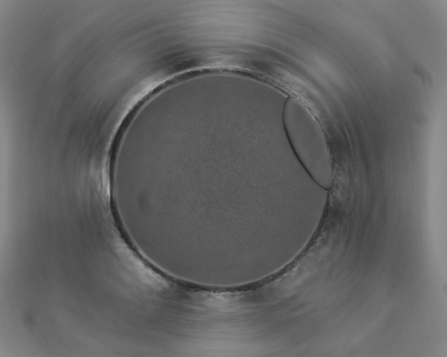 X0000112891084200908211448