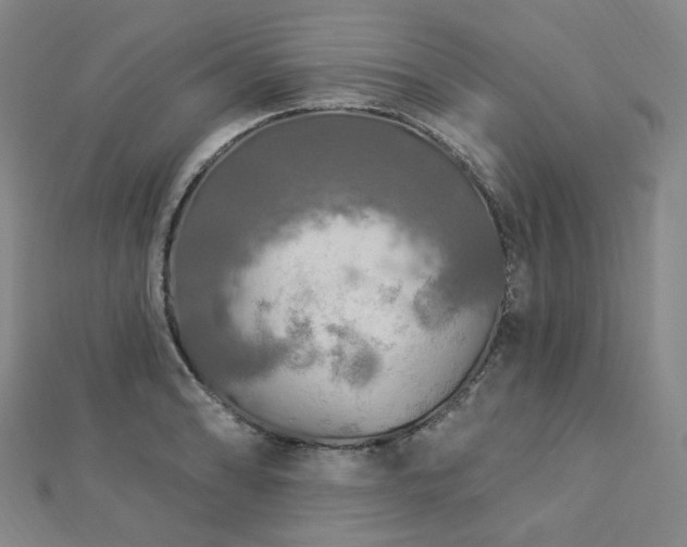X0000112891086200908211448