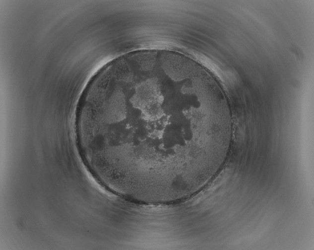 X0000112891087200908211448