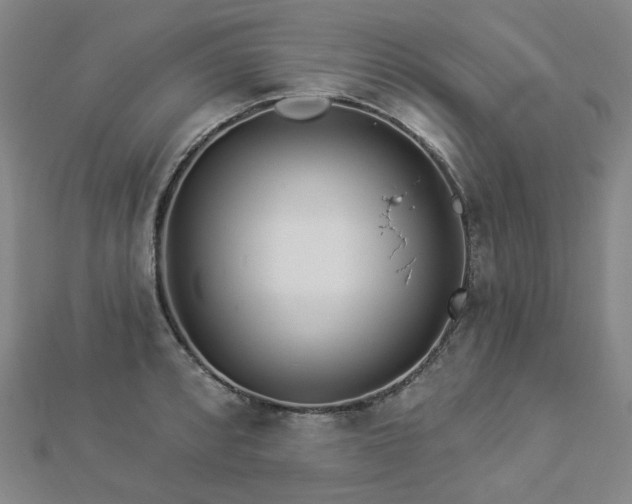 X0000112891088200908211448