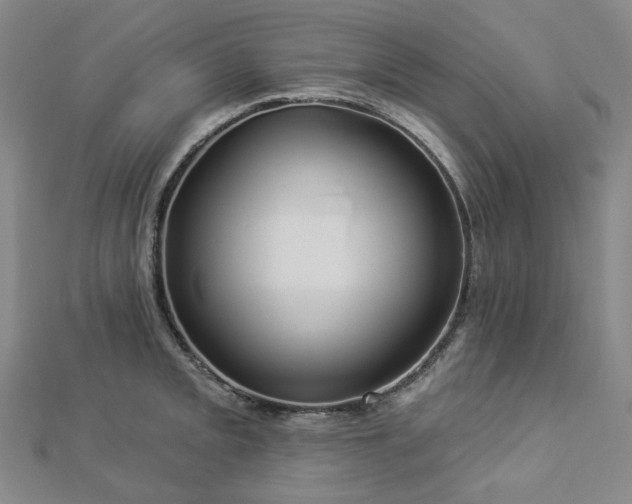 X0000112891093200908211448
