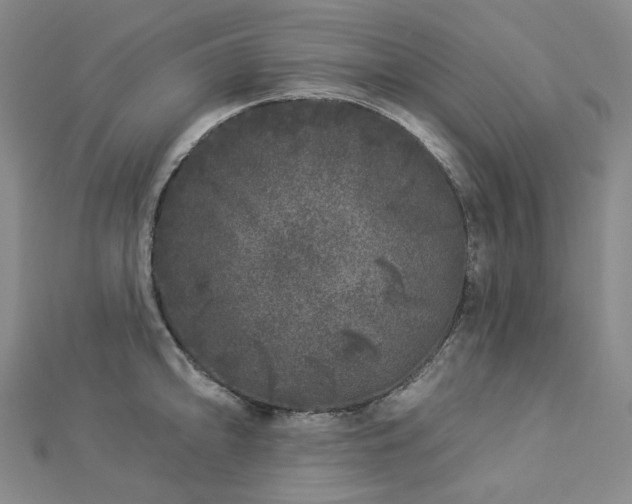 X0000112891094200908211448