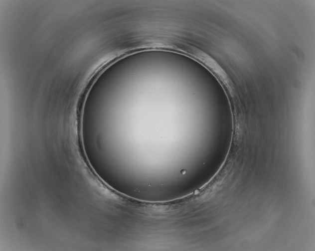 X0000112891096200908211448