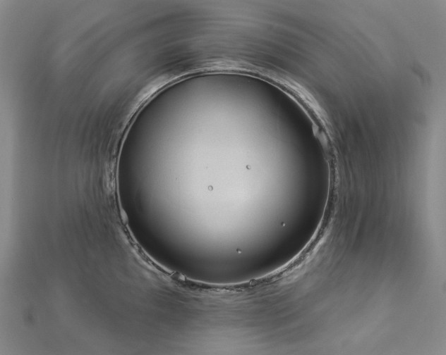 X0000112891097200908211448