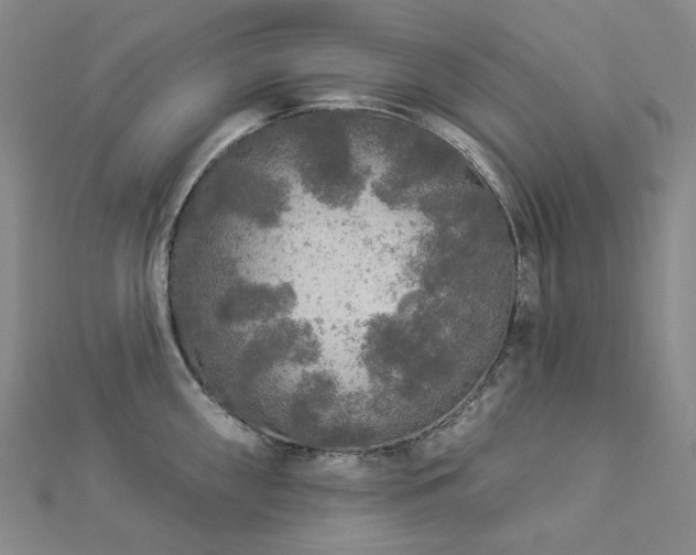 X0000112891098200908211448