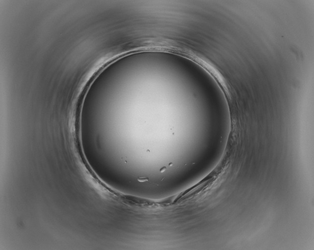 X0000112891099200908211448