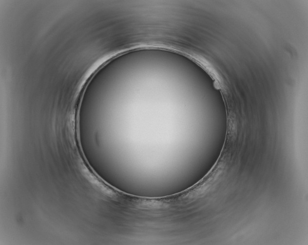 X0000112891100200908211448
