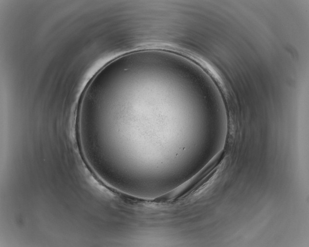 X0000112891102200908211448