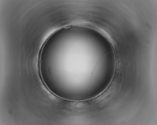 X0000112891103200908211448