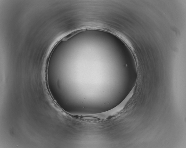 X0000112891104200908211448