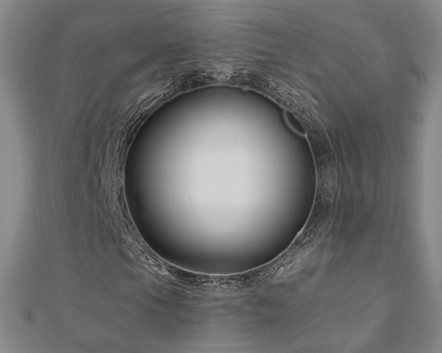 X0000112891105200908211447