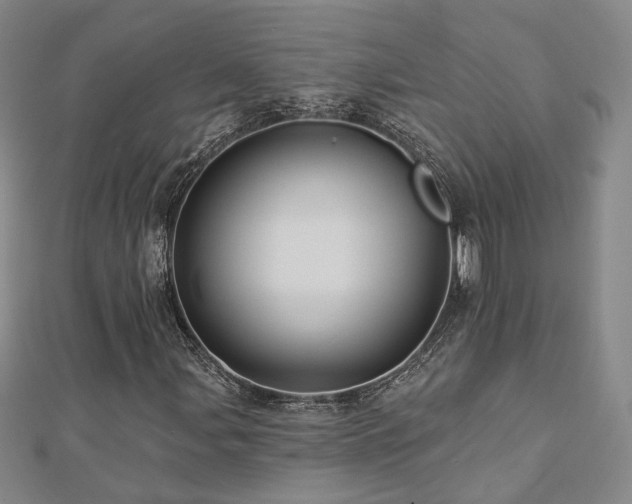 X0000112891107200908211447