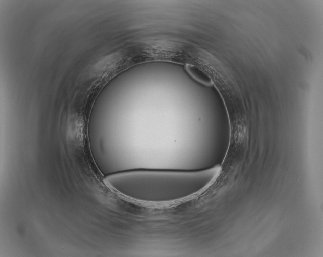 X0000112891108200908211447