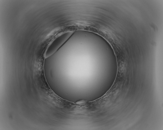 X0000112891110200908211448