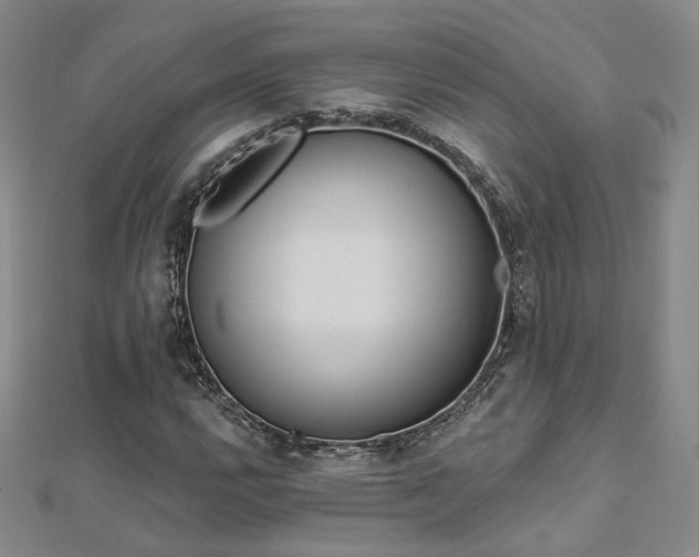 X0000112891112200908211448