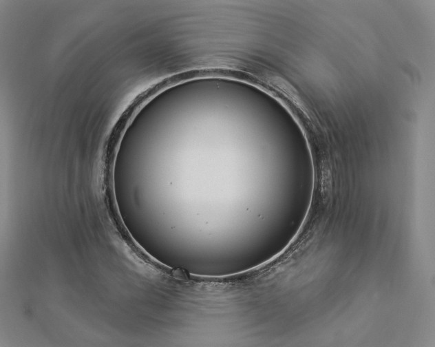 X0000112891116200908211448