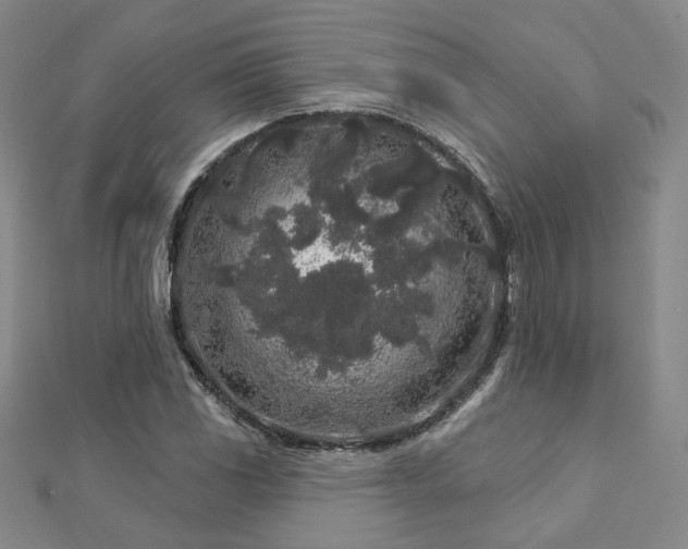 X0000112891117200908211448