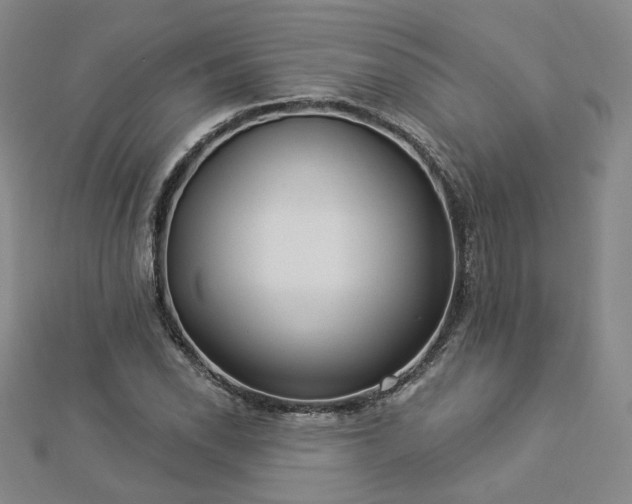 X0000112891118200908211448