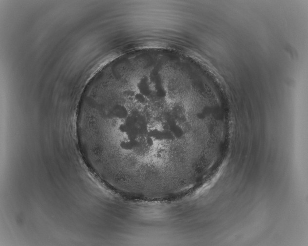 X0000112891121200908211448