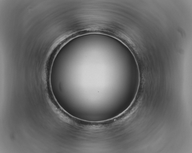 X0000112891122200908211448