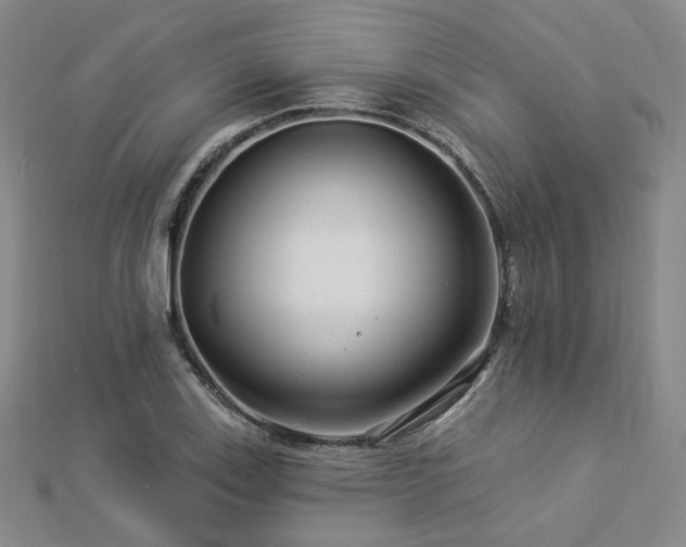 X0000112891123200908211448
