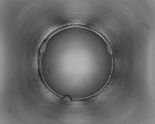 X0000112891124200908211448