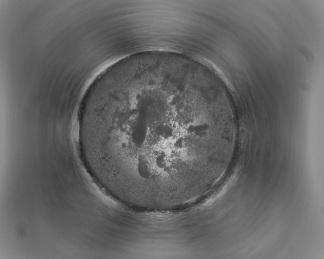 X0000112891125200908211448