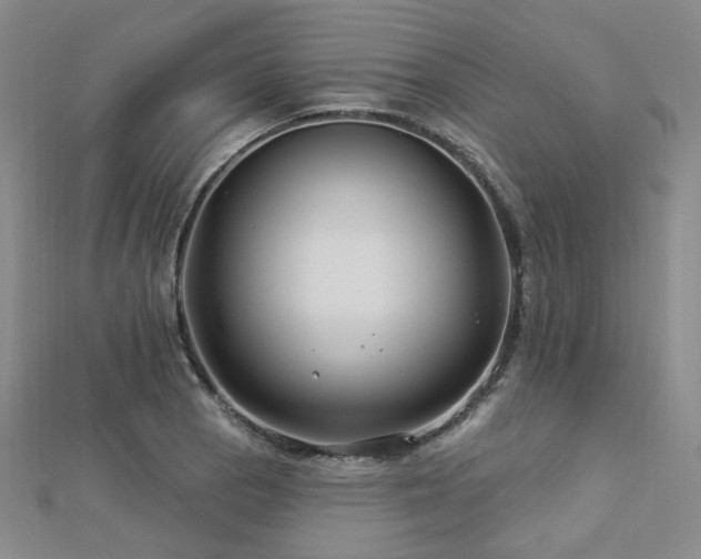 X0000112891129200908211448